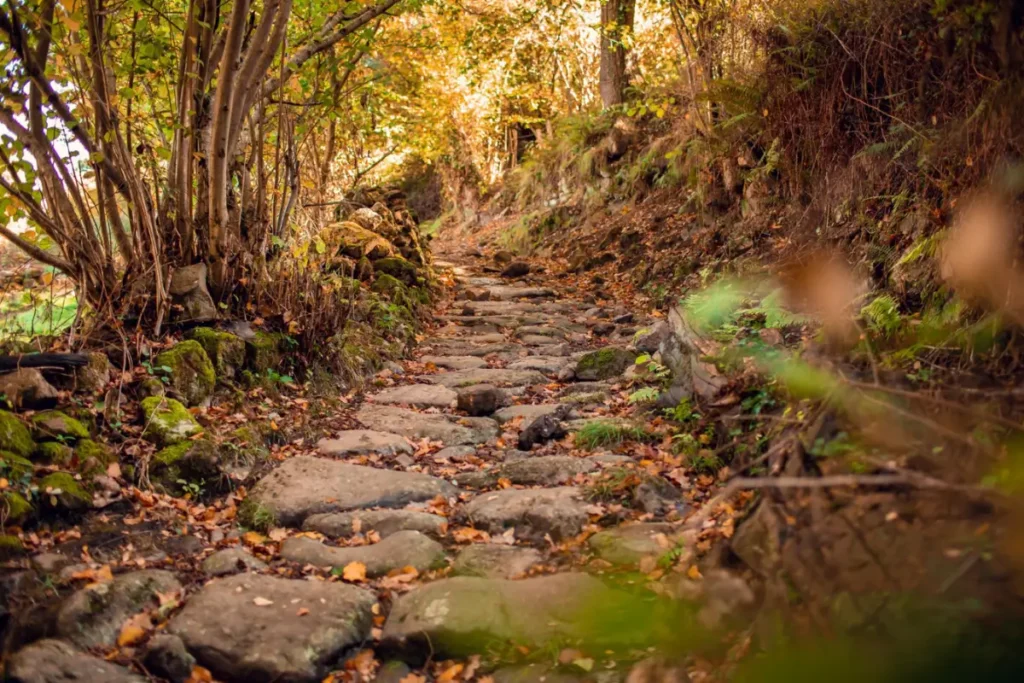 Crescimento pessoal Passeio pela estrada romana de Bárcena de Pie de Concha a Pesquera, na Cantábria. Imagem Freepik.